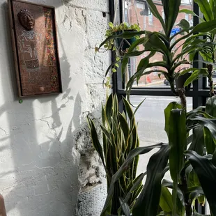 Cool spot near the window