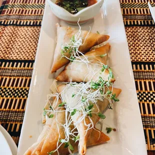 A1. Burmese Samosa