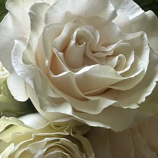 Beautiful flowers and their customer service is awesome!! Thank you !! Recommend