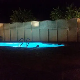 Getting a little swim before bedtime