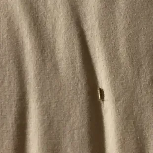 Bugs &amp; more bugs