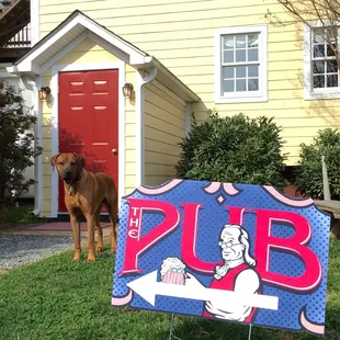 a dog standing in front of a pub sign