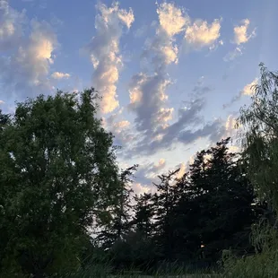 a view of the sky and trees