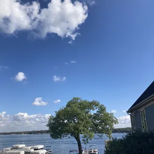 The lunchtime view
