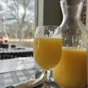 Mimosa pitcher