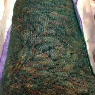 the inside of a fish net