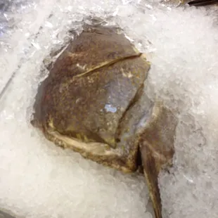 Awesome selection and the owner was super nice. I will be back often.