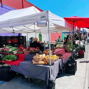 variety of fruits and vegetables
