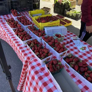 Some beautiful Strawberries, I picked up a box of 3 from Urban Organics