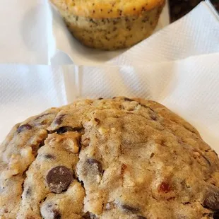 Chocolate Chip with nuts &amp; apricots, Poppyseed muffin