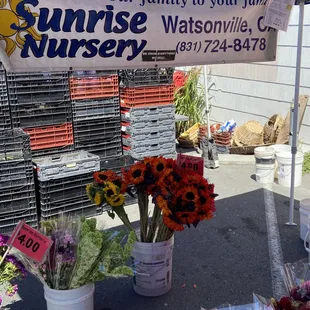 Flowers from Sunrise Nursery