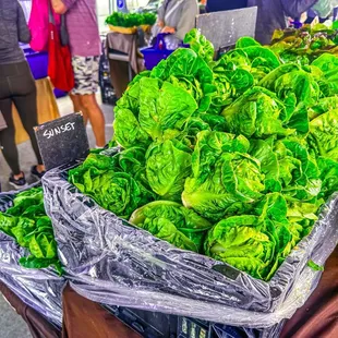 Inner Sunset Farmers Market