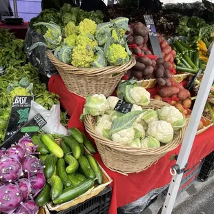 Fifth Crow Farms' produce (lots more not pictured)