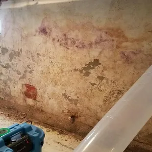 Demolition of wall to get to mold to be able to start remediation.