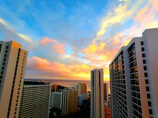 Waikiki Banyan