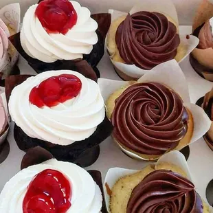 Wedding Cupcake Tasting: -Lemon Raspberry -Black Forest Cherry -Southern Belles -S'Mores