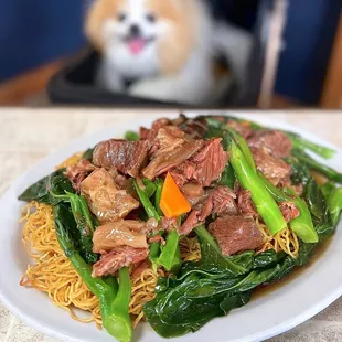 腐牛腩炒面 Braised Beef Brisket Pan-Fried Noodles, off the menu | $21.95 (two dog-friendly outdoor tables)