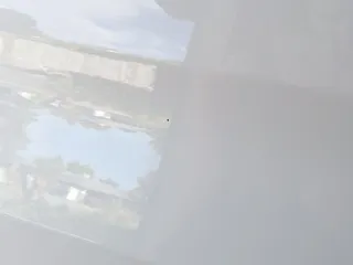 Splash Car Spa