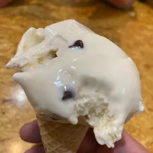Mint Chocolate Chip