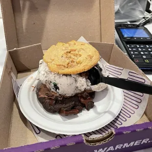 Double chocolate cookie, peanut butter cookie and mint ice cream!!