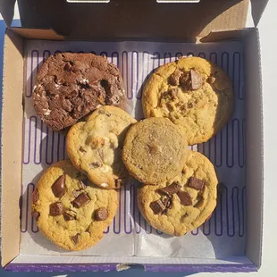 S'mores, Peanut Butter Cup, Triple Chocolate, Campfire, and Gingerbread Cheesecake