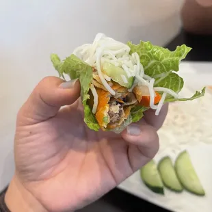 Spring Rolls