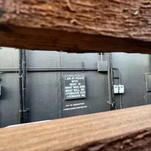 Spotted between the fence...