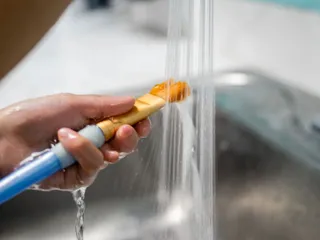Paint Glaze & Fire
