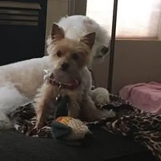 Amy P.