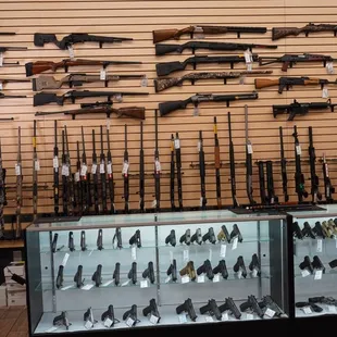 The hunting section is just  complete. Every need and the customer service is experienced!!