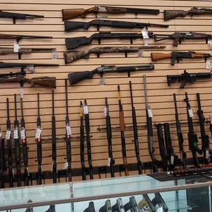 Talk about a wall of rifles. These guys are for real and the knowledge and depth of experience. I was relived to feel so relaxed.