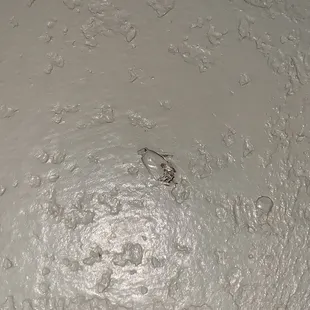 RIP Allen, with flash