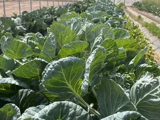 Fred and Maria Loya Family YMCA
