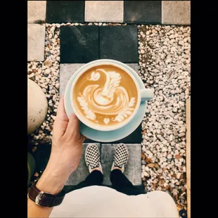 Latte art swan