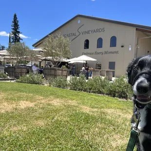 Ricochet, Whiskey Kiss and Intercoastal Vineyards