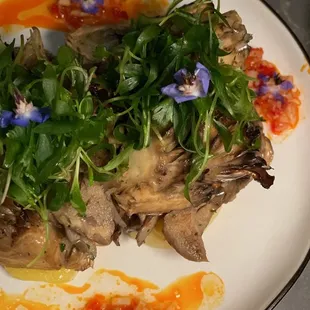 Maitake Mushroom Mushroom