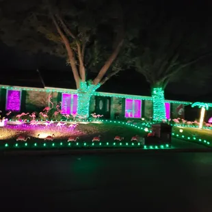 Flamingos pulling santas sleigh