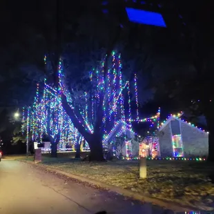 Beautiful tree lights