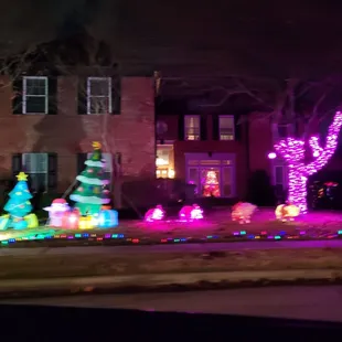 They had pigggies pulling the sleigh