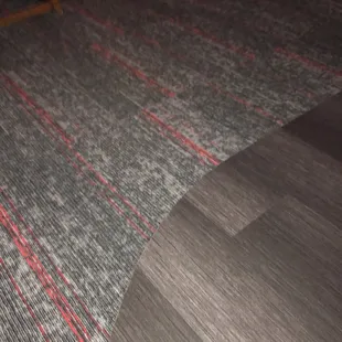 Brand new flooring!
