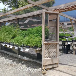 Our Veggie bedding house