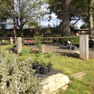 Grounds at Intermountain Nursery