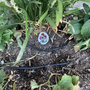 interior, sushi and sashimi