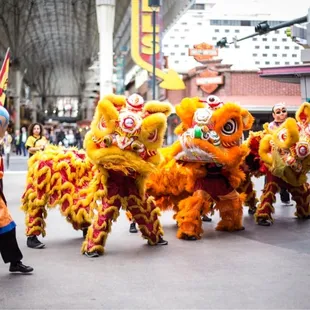 Grand opening lion dance