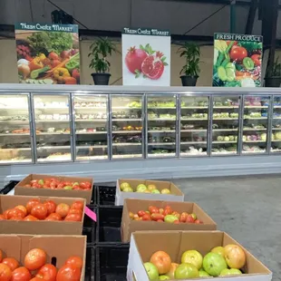 Vegetables and Fruits filling the fridge with a variety of kinds!
