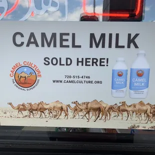 camel milk sold here