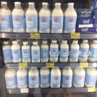 Camel Milk