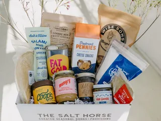 The Salt Horse