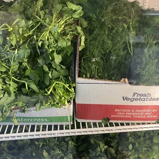 a display of fresh vegetables