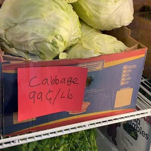 Cabbage